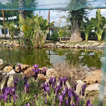 Appartamento Barbera Con Piscina Syracuse