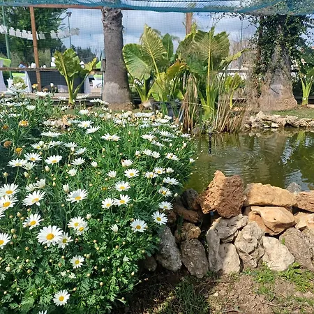 Barbera Con Piscina Siraküza